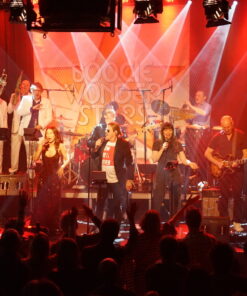 Boogie Wonder Stars – Tribute to Earth Wind & Fire 14.03.25